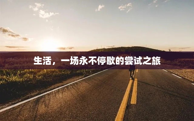 生活，一场永不停歇的尝试之旅