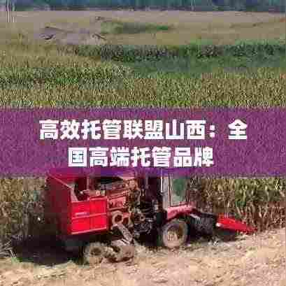 高效托管联盟山西:全国高端托管品牌