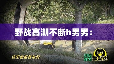 野战高潮不断h男男: