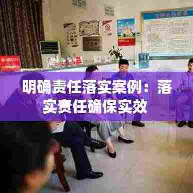 明确责任落实案例:落实责任确保实效