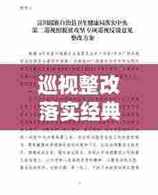 巡视整改落实经典语句：巡视整改整改措施 