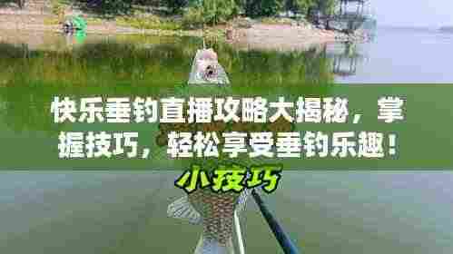 快乐垂钓直播攻略大揭秘，掌握技巧，轻松享受垂钓乐趣！