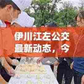 伊川江左公交最新动态,今日消息一网打尽!