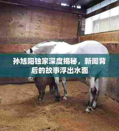 孙旭阳独家深度揭秘,新闻背后的故事浮出水面