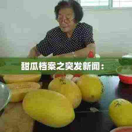 甜瓜档案之突发新闻: