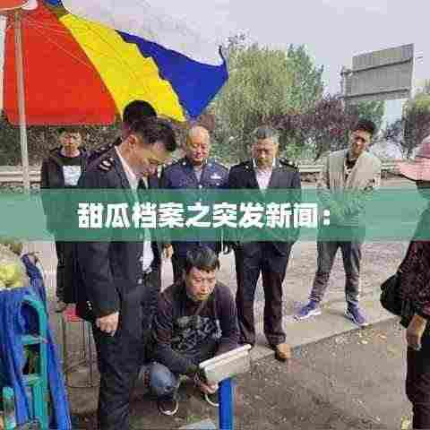 甜瓜档案之突发新闻: