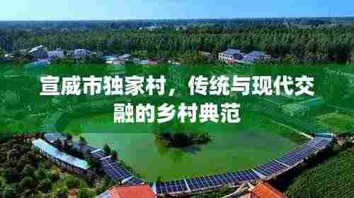 宣威市独家村,传统与现代交融的乡村典范