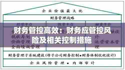 财务管控高效:财务应管控风险及相关控制措施