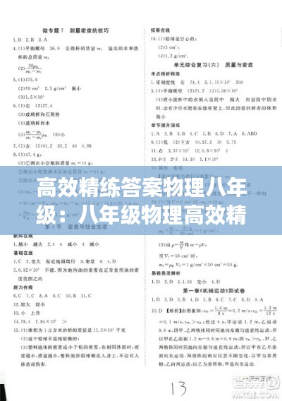 高效精练答案物理八年级:八年级物理高效精练答案05网