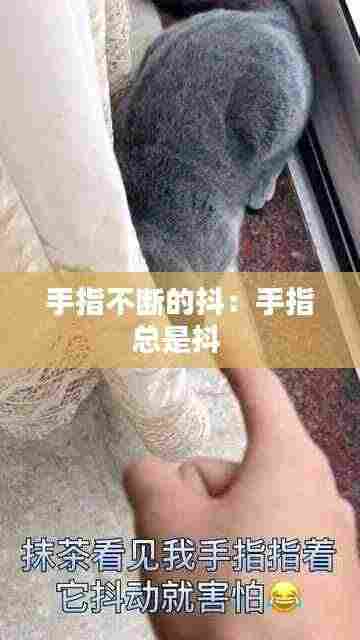 手指不断的抖：手指总是抖 