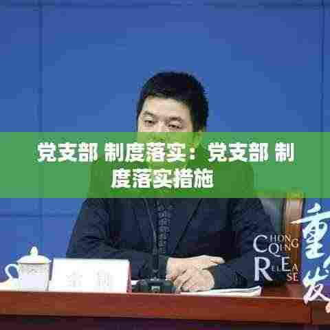 党支部 制度落实:党支部 制度落实措施