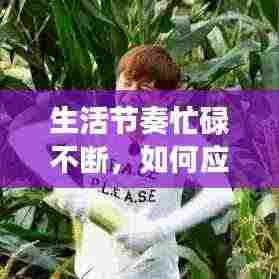 生活节奏忙碌不断,如何应对挑战?实用建议助你轻松应对