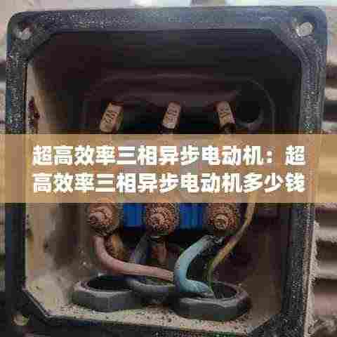 超高效率三相异步电动机：超高效率三相异步电动机多少钱 