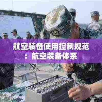 航空装备使用控制规范:航空装备体系