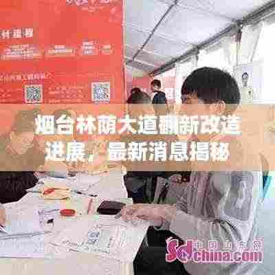 烟台林荫大道翻新改造进展,最新消息揭秘