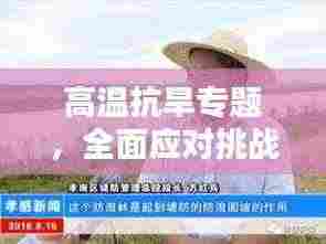 高温抗旱专题,全面应对挑战,守护生命之源