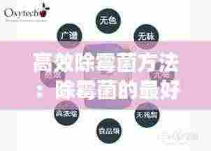 贵人善忘 第3页