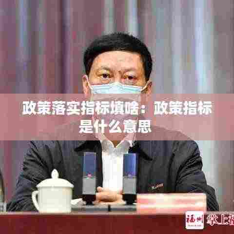 政策落实指标填啥:政策指标是什么意思