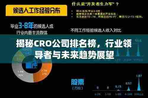 揭秘CRO公司排名榜,行业领导者与未来趋势展望
