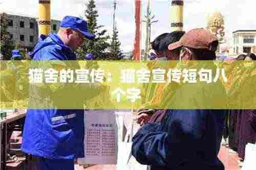 猫舍的宣传:猫舍宣传短句八个字