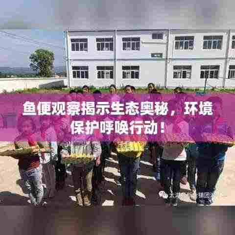 鱼便观察揭示生态奥秘,环境保护呼唤行动!
