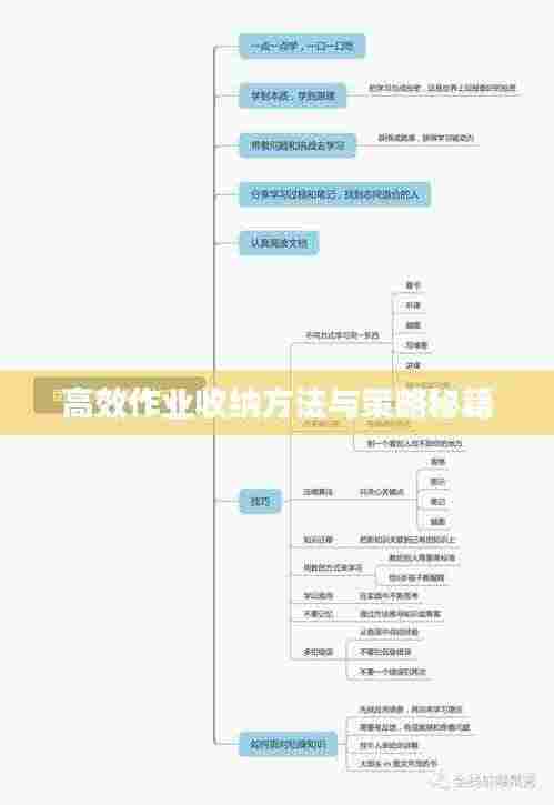 高效作业收纳方法与策略秘籍