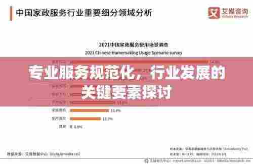 专业服务规范化，行业发展的关键要素探讨