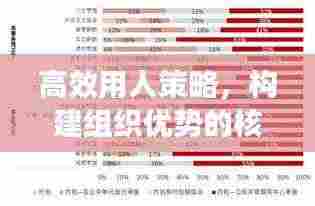 高效用人策略，构建组织优势的核心秘诀