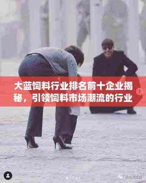 大蓝饲料行业排名前十企业揭秘,引领饲料市场潮流的行业翘楚
