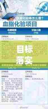 目标落实检查,确保目标转化为实际成果的关键行动指南