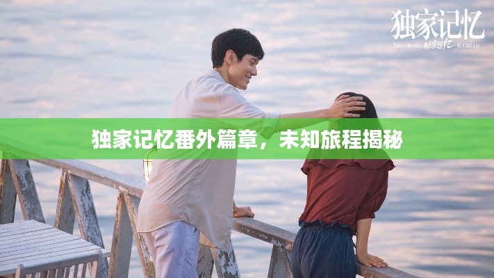 独家记忆番外篇章,未知旅程揭秘