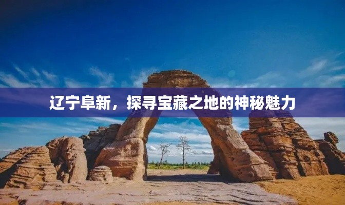 辽宁阜新，探寻宝藏之地的神秘魅力