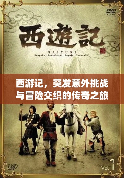 撺哄鸟乱 第4页