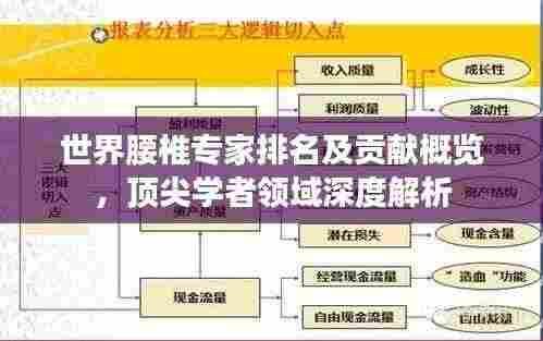世界腰椎专家排名及贡献概览,顶尖学者领域深度解析