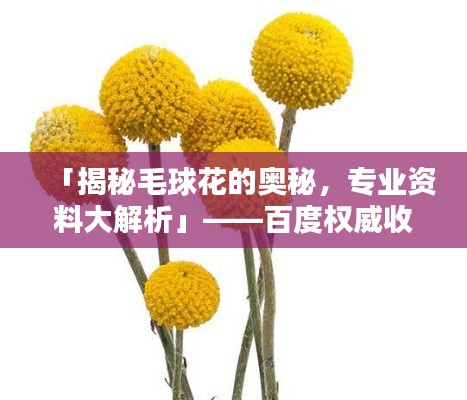 亭亭玉立 第3页