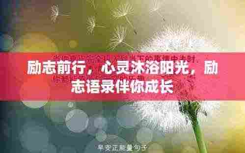 励志前行,心灵沐浴阳光,励志语录伴你成长