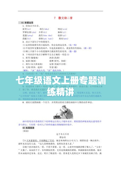七年级语文上册专题训练精讲