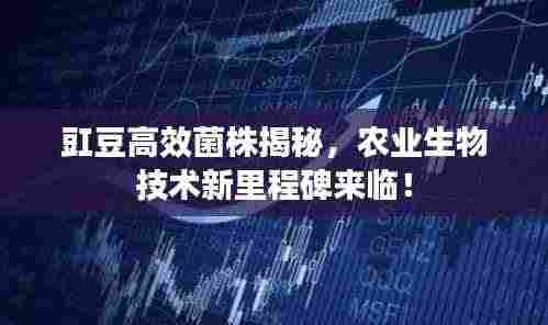 豇豆高效菌株揭秘,农业生物技术新里程碑来临!