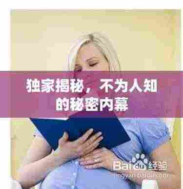 独家揭秘,不为人知的秘密内幕