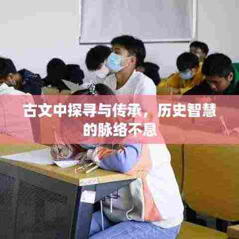 古文中探寻与传承，历史智慧的脉络不息