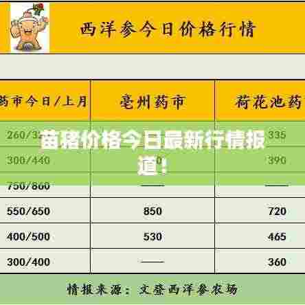 苗猪价格今日最新行情报道！