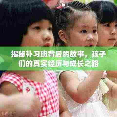 揭秘补习班背后的故事，孩子们的真实经历与成长之路