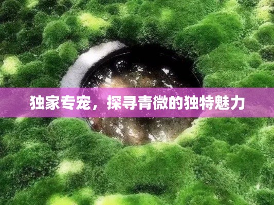 独家专宠,探寻青微的独特魅力