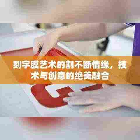刻字膜艺术的割不断情缘，技术与创意的绝美融合