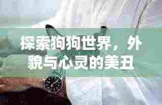 探索狗狗世界,外貌与心灵的美丑界限——全球最丑狗狗排行榜TOP未知