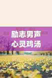 励志男声心灵鸡汤语录,激发无限潜能的力量