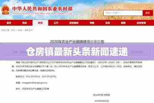 仓房镇最新头条新闻速递