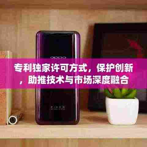 专利独家许可方式，保护创新，助推技术与市场深度融合