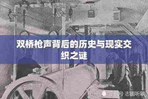 双桥枪声背后的历史与现实交织之谜