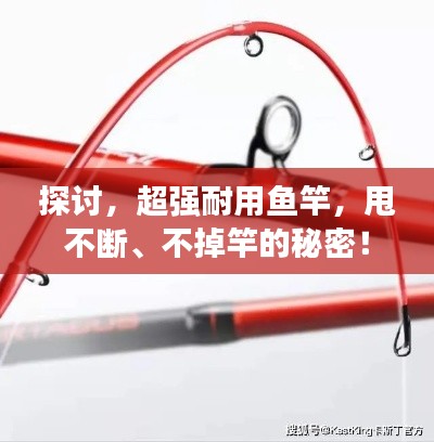 探讨，超强耐用鱼竿，甩不断、不掉竿的秘密！